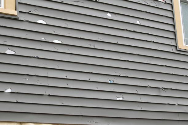 Best Composite Siding  in Olympia, WA