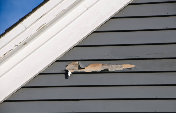 Historical Building Siding Restoration in Olympia, WA